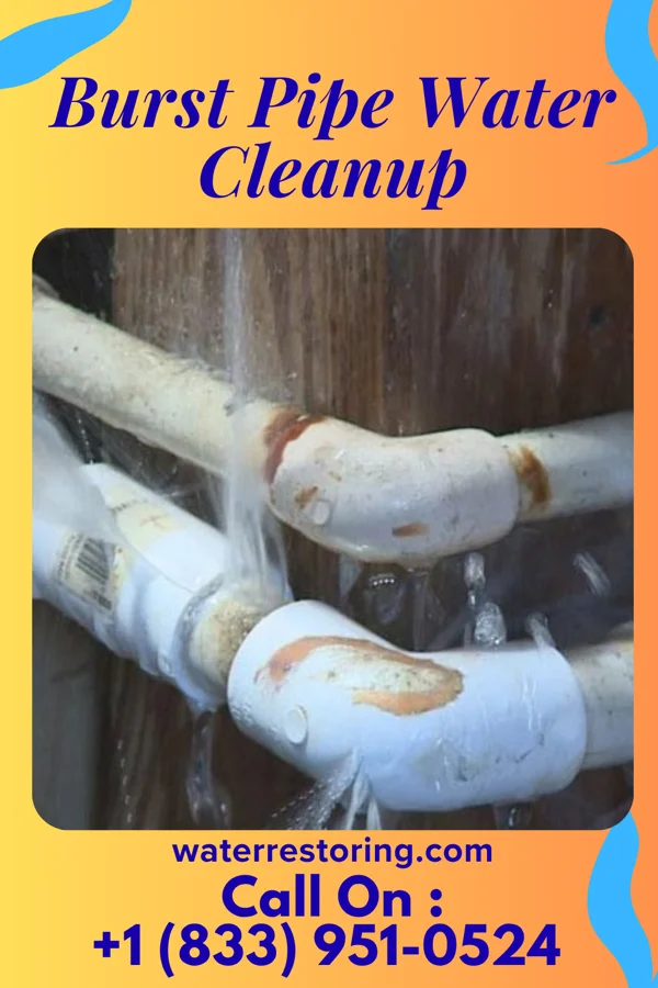 Burst Pipe Water Cleanup in Glen Cove, NY
