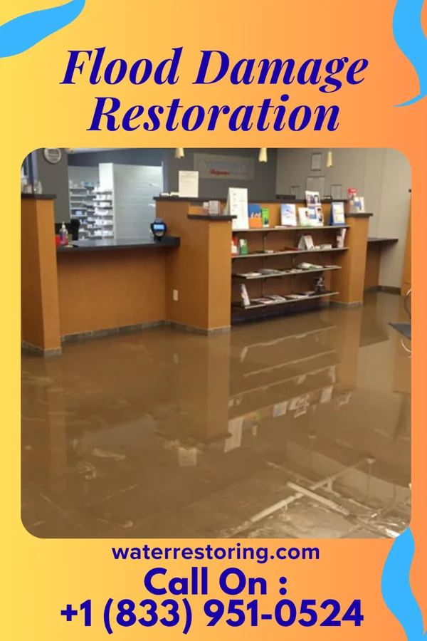 Flood Damage Restoration in Glen Cove, NY