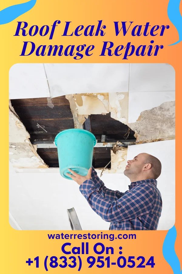 Roof Leak Water Damage Repair in Glen Cove, NY