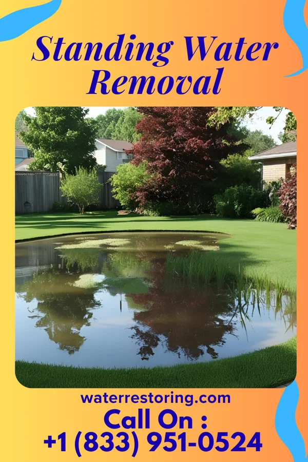 Standing Water Removal in Glen Cove, NY